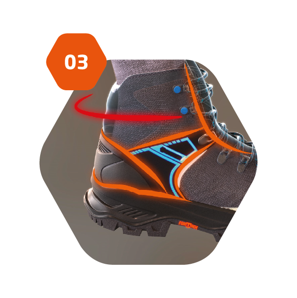 Base-Fortrex-03.png?ts=1774629845